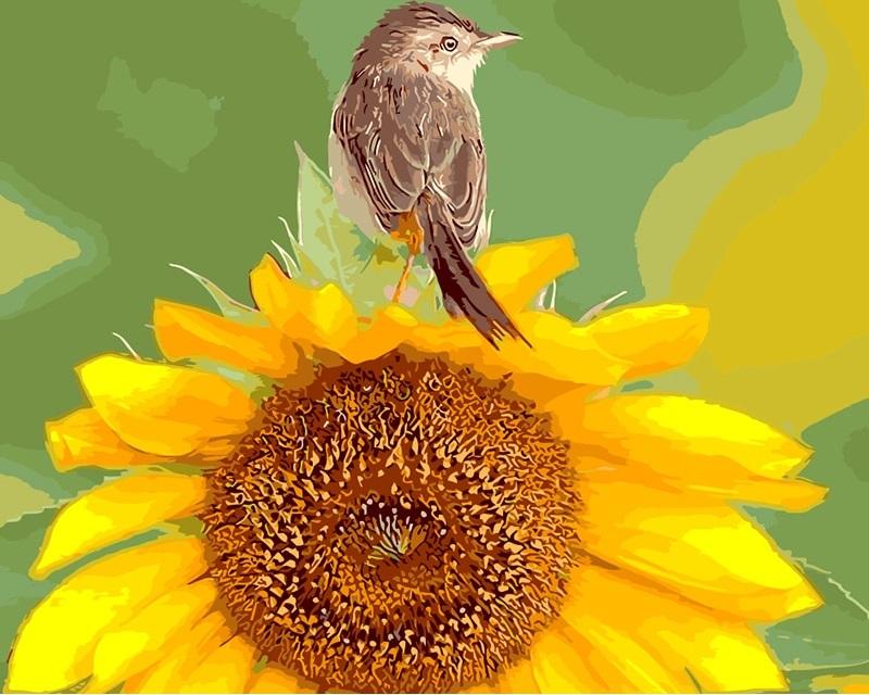 finalizing the Sunflower Bird Colors artwork with brush and paint