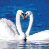 Swans on the Lake Paint By Numbers