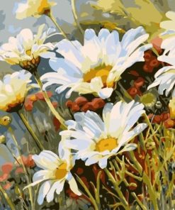 White Daisy Flowers Paint By Numbers
