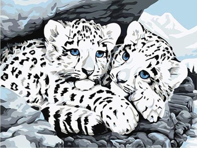 Blue Eyed Snow Leopard Paint By Numbers