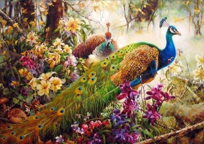 Indian Peafowl Landscapes Paint By Numbers