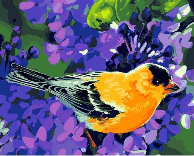 Pretty Songbirds Wall Art Paint By Numbers