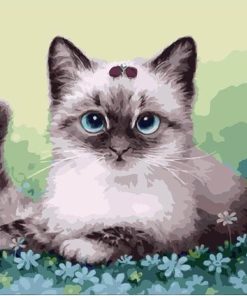Fluffy Kitten Art Paint By Numbers