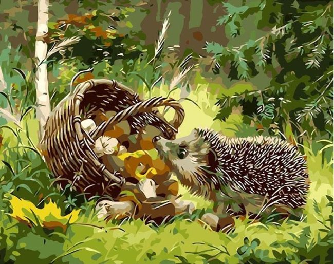 Adorable Hedgehog Paint By Numbers