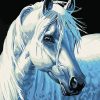 White Horse Animals Paint By Numbers