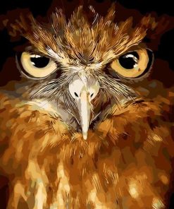 Majestic Owl Birds Paint By Numbers