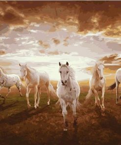 White Stallions Galloping Paint By Numbers