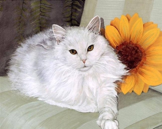 White Fat Cat Animals Paint By Numbers