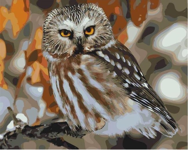 Owl Nature Experience Paint By Numbers