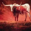 Red Cattle Animals Paint By Numbers