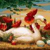 Swan and Red Poppy Paint By Numbers