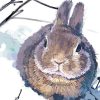 Rabbit in Snow Painting by Numbers Kit
