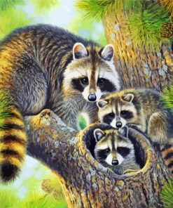 Raccoon Animal Paint By Numbers