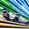Illustrated Porsche Martini Race Cars Paint By Numbers
