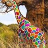 Colorful Rainbow Giraffe Paint By Numbers