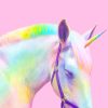 Fantasy Rainbow Horse Paint By Numbers