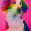 Colorful Rainbow Dog Paint By Numbers