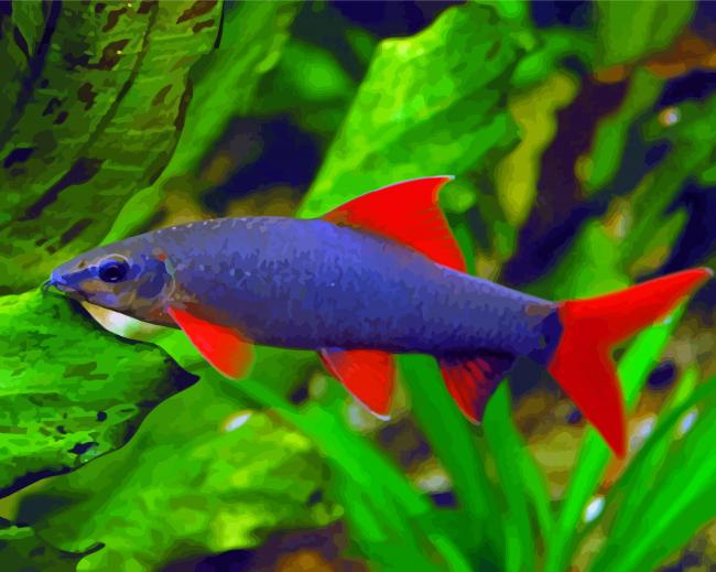 Finished Rainbow Shark Paint by Numbers artwork