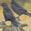 Ravens Nature Art Paint By Numbers