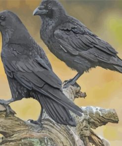 Ravens Nature Art Paint By Numbers