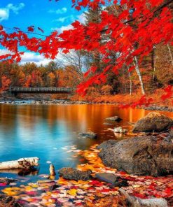 Red Forest Nature Paint By Numbers