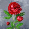 Red Peonies Flower Paint By Numbers