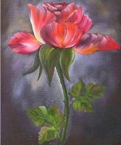 Red Rose Blooms Paint By Numbers