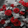 Red Roses Grey Leaves Paint By Numbers