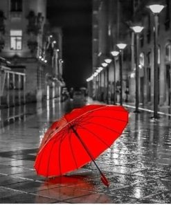 Red Umbrella Rainy Day Paint By Numbers