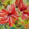 Red and White Hibiscus Flower Paint By Numbers