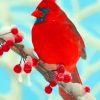 Red Cardinal Bird Paint By Numbers