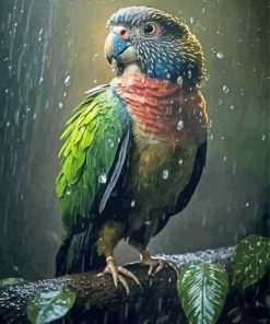 Red Fan Parrot Wildlife Paint By Numbers