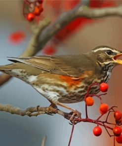 Redwing Bird in Trees Paint By Numbers
