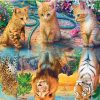 Big Cats Reflection Paint By Numbers
