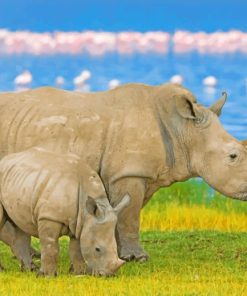 Rhinoceros Safari Scene Paint By Numbers