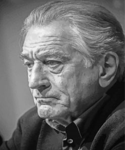 Robert De Niro Celebrity Paint By Numbers