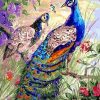 Majestic Peacock Birds Painting Kit Paint By Numbers