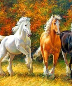 White Horses Running Paint By Numbers
