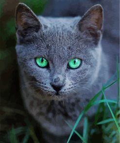 Russian Blue Kitten Paint By Numbers