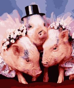 Pig Bride Animal Fun Paint By Numbers