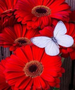 Red Flowers Butterfly Painting Kit Paint By Numbers