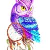Colorful Owl Bird Paint By Numbers