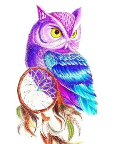 Colorful Owl Bird Paint By Numbers