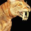 Saber Toothed Feline Paint By Numbers