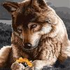 Sad Wolf Wilderness Paint By Numbers