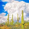 Saguaro Cactus Sky Paint By Numbers