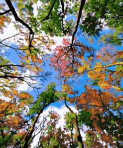 Landscape Trees Paint By Numbers