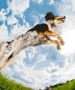 Dog Animals Paint By Numbers