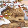 Winter Hedgehog Animal Paint By Numbers