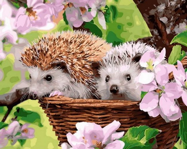 Adorable Hedgehog Fun Paint By Numbers